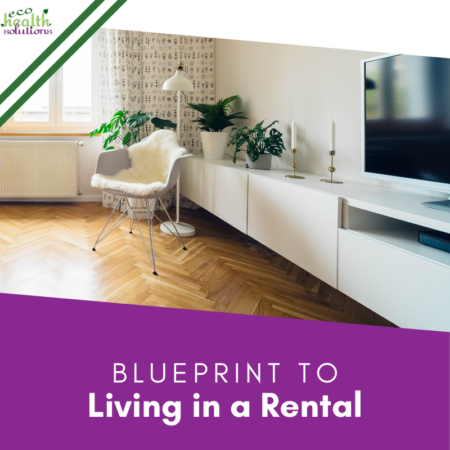 blueprint to living in a rental