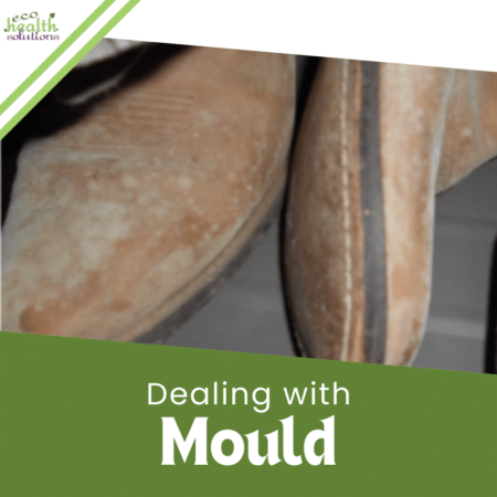 image of mouldy boots with text "Dealing with Mould")